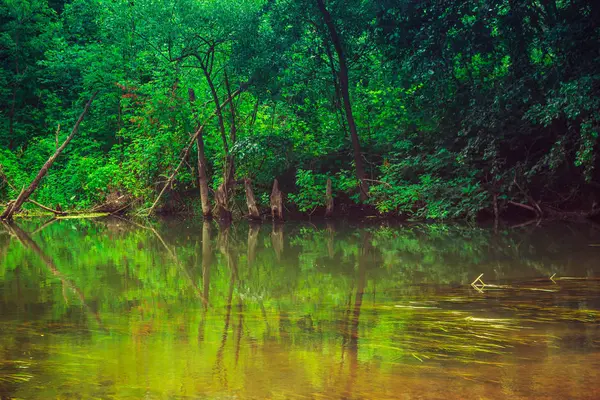 Fluss Sommer Landschaft Ein Guter Tag Russischen Dorf — Stockfoto