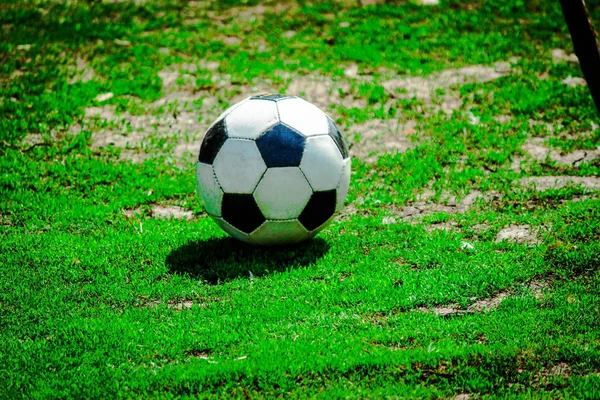 Soccer Ball Green Yard Lawn — Stock Photo, Image