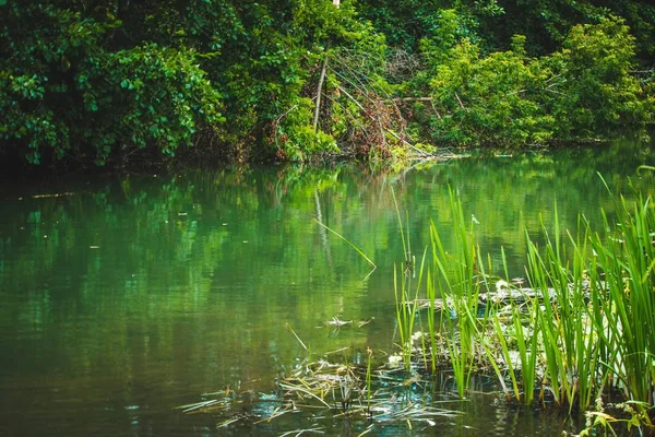 Fluss Sommer Landschaft Ein Guter Tag Russischen Dorf — Stockfoto