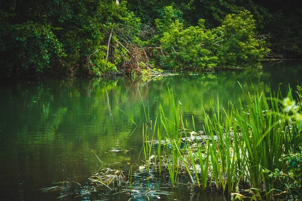 Fluss Sommer Landschaft Ein Guter Tag Russischen Dorf — Stockfoto