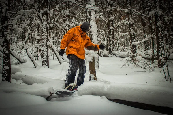 Snowboarder Board Forest Mountain — Stock Photo, Image