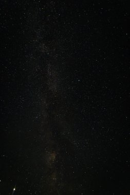  Samanyolu, Rus köyündeki bir ormanın üzerindeki yıldızlı gökyüzü.