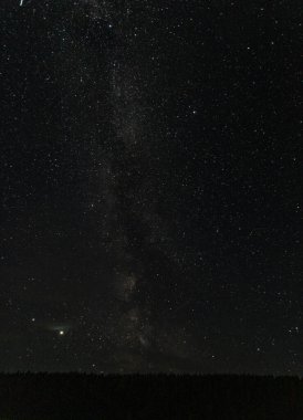  Samanyolu, Rus köyündeki bir ormanın üzerindeki yıldızlı gökyüzü.