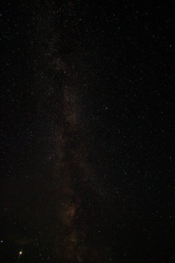  Samanyolu, Rus köyündeki bir ormanın üzerindeki yıldızlı gökyüzü.