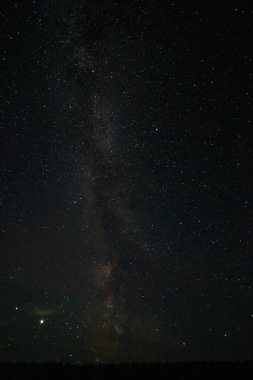  Samanyolu, Rus köyündeki bir ormanın üzerindeki yıldızlı gökyüzü.