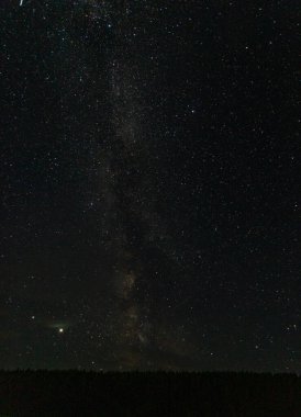  Samanyolu, Rus köyündeki bir ormanın üzerindeki yıldızlı gökyüzü.