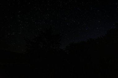 Rus köyündeki yıldızlı gökyüzü. Sıcak yaz gecesi