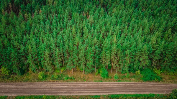 Paisagens Natureza Selvagem Áreas Rurais Federação Russa Levantamento Aéreo Foto — Fotografia de Stock