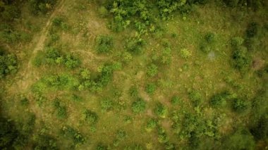 Kırsal alanda ve yeşillikte bir kuadrokopter uçurmak