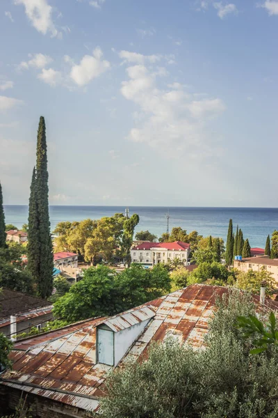 Gagra Şehri Abhazya Güney Şehrinin Güzel Şehir Doğası Yüksek Kalite — Stok fotoğraf