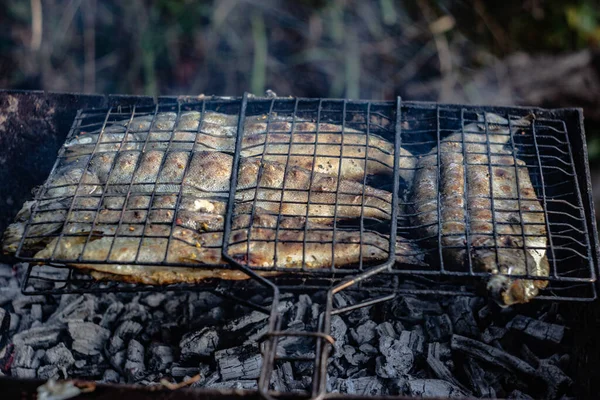 Truta Cozinha Brasas Com Fumo Cheiro Foto Alta Qualidade — Fotografia de Stock