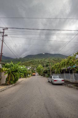 Gagra şehri, Abhazya. Güney şehrinin güzel şehir doğası. Yüksek kalite fotoğraf