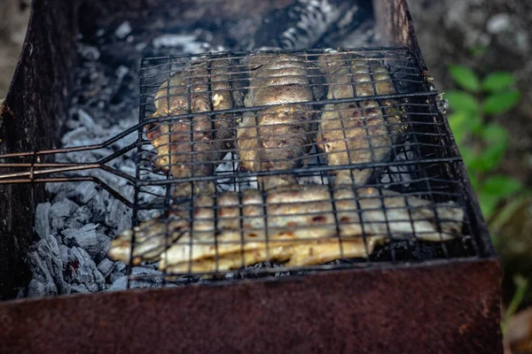 Öring Tillagas Kol Med Rök Och Lukt Högkvalitativt Foto — Stockfoto