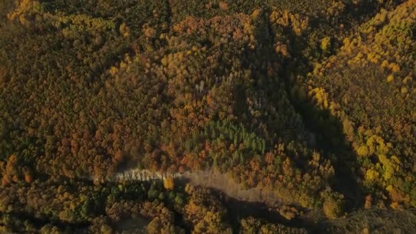 Lesní Podzimní Příroda Ruské Federace — Stock video