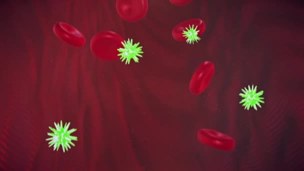 Bloed Bacteriën Stromen — Stockvideo