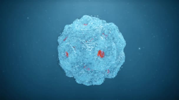Bacterium Een Blauwe Achtergrond — Stockvideo