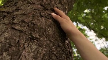 Avuç içi kadar eski ağaç kabuğuna dokunmak. Doğayı sevmek. Uyum ve sakinlik. Sakin ve rahatlamak için ağaçlara sarıl ve dokun..