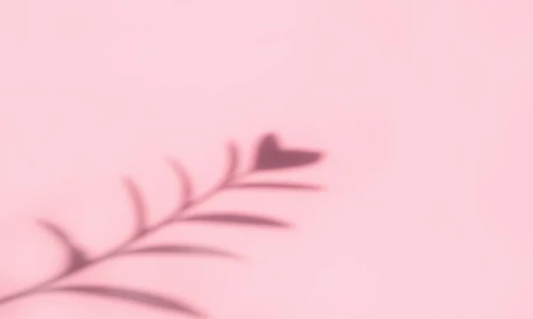 热带叶影顶部 粉色背景 平躺在床上最小的夏季概念与叶子的版权空间 抽象的阴影模糊了 背景墙纸的纹理 — 图库照片