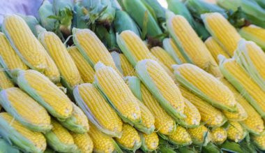 Taze tatlı çiğ Mısır, büyük çekim, üst görünüm