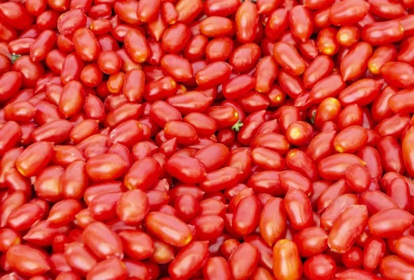 Çiftlik pazarında domates arka plan