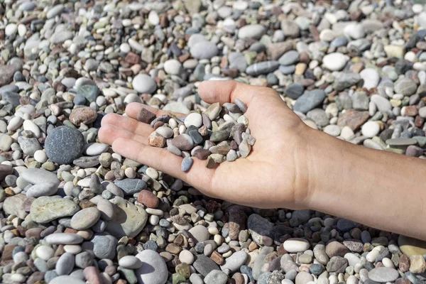 Punhado de seixos de mar na mão — Fotografia de Stock