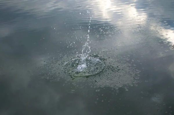 Circles on the water. The excitement of water after a splash