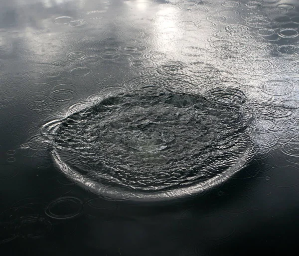 Circles on the water. The excitement of water after a splash