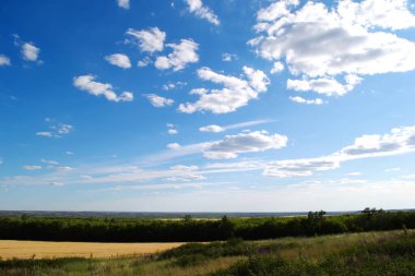 Yazın güneşli bir günde, bir buğday tarlasının üzerinde mavi gökyüzünde beyaz bulutlar