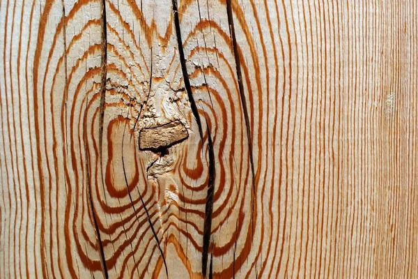 Piękna Faktura Drewnianej Deski Corocznymi Pierścieniami Ścięciu Drzewa — Zdjęcie stockowe
