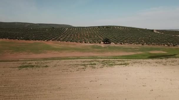 Aerial View Farming Field Jaen Spain — Stock Video