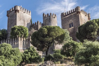Almodovar del Rio, Cordoba, İspanya - 9 Haziran 2018: Müslüman kökenli bir metanet, bir Roman fort, Amerikalı yapımcı Hbo, tahtlar oyun serisi için bir sahne oldu. Guadalquivir yakın yerleştirilir, Rio, İspanya Almodovar içinde al