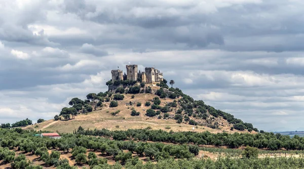 Almodovar Del Rio Córdoba España Junio 2018 Una Fortaleza Origen — Foto de Stock