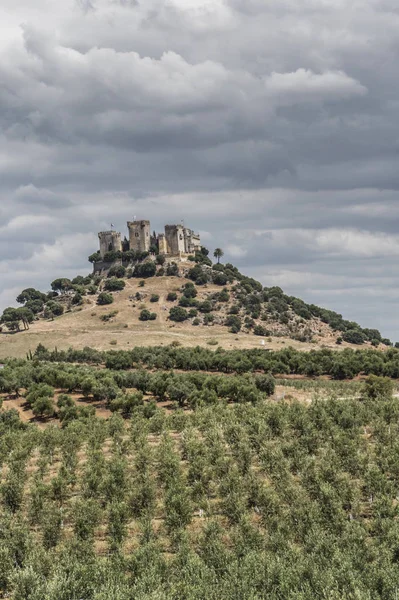 Almodovar Del Rio Cordoba Spain June 2018 Fortitude Moslem Origin — Stock Photo, Image