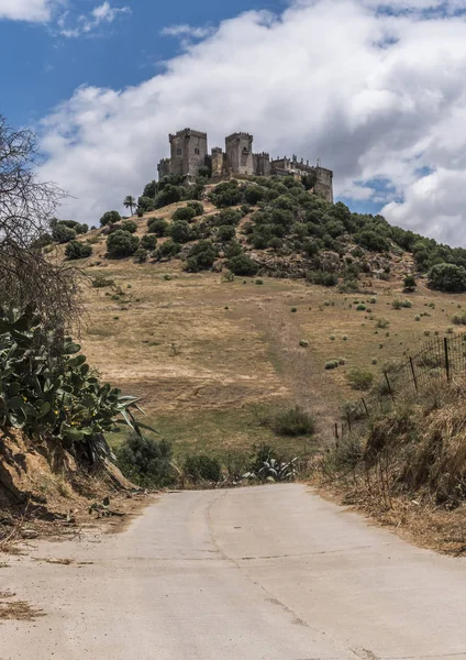 Almodóvar Del Rio Córdoba Španělsko Června 2018 Odvaha Muslimské Původu — Stock fotografie