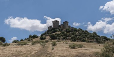 Kale Almodovar del Rio, Müslüman kökenli bir metanet olduğunu, bu bir Roman fort ve geçerli yapı kesinlikle kaynağı Berber, Amerikalı yapımcı Hbo, tahtlar oyun serisi için bir sahne vardır. Almodovar del Rio, İspanya al