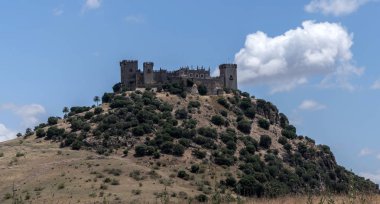 Kale Almodovar del Rio, Müslüman kökenli bir metanet olduğunu, bu bir Roman fort ve geçerli yapı kesinlikle kaynağı Berber, Amerikalı yapımcı Hbo, tahtlar oyun serisi için bir sahne vardır. Almodovar del Rio, İspanya al