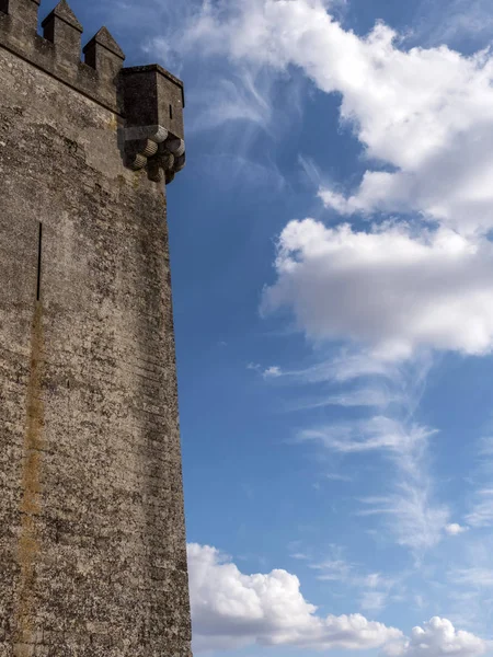 Castle Almodovar Del Rio Fortitude Moslem Origin Roman Fort Current – stockfoto