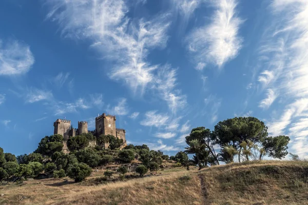 Castle Almodovar Del Rio Fortitude Moslem Origin Roman Fort Current — Stock Photo, Image