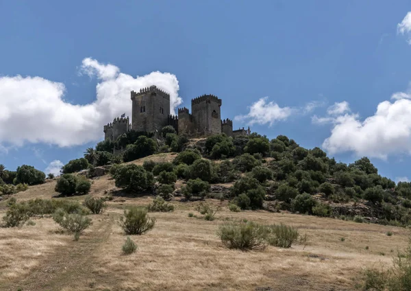 Castle Almodovar Del Rio Fortitude Moslem Origin Roman Fort Current — Stock Photo, Image