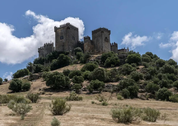 Castle Almodovar Del Rio Fortitude Moslem Origin Roman Fort Current — Stock Photo, Image