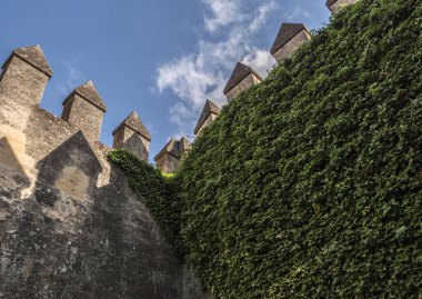 Kale Almodovar del Rio, Müslüman kökenli bir metanet olduğunu, bu bir Roman fort ve geçerli yapı kesinlikle kaynağı Berber, Amerikalı yapımcı Hbo, tahtlar oyun serisi için bir sahne vardır. Almodovar del Rio, İspanya al
