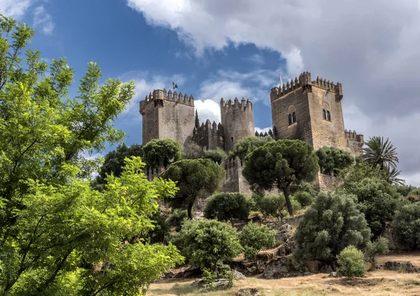 Château Almodovar Del Rio Est Une Fortitude Origine Musulmane Était — Photo