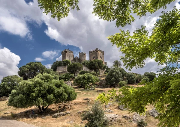 Castle Almodovar Del Rio Fortitude Moslem Origin Roman Fort Current — Stock Photo, Image