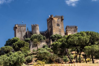Castle Almodovar del Rio, Müslüman kökenli bir metanet değil, bu bir Roman fort ve geçerli yapı kesinlikle kaynağı Berberi vardır, Guadalquivir yakın yerleştirilir, Rio, İspanya Almodovar içinde al