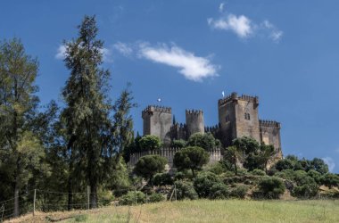 Castle Almodovar del Rio, Müslüman kökenli bir metanet değil, bu bir Roman fort ve geçerli yapı kesinlikle kaynağı Berberi vardır, Guadalquivir yakın yerleştirilir, Rio, İspanya Almodovar içinde al