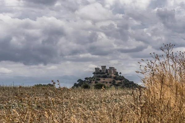 Castle Almodovar Del Rio Fortitude Moslem Origin Roman Fort Current — Stock Photo, Image