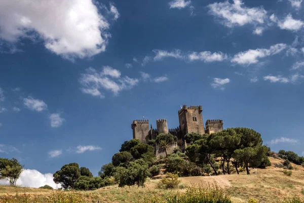 Castillo Almodovar Del Río Una Fortaleza Origen Musulmán Era Fuerte — Foto de Stock