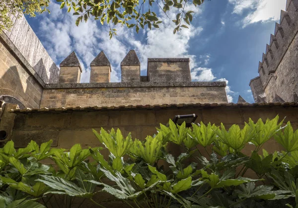 Almodovar Del Rio Cordoue Espagne Juin 2018 Jardins Intérieur Accès — Photo