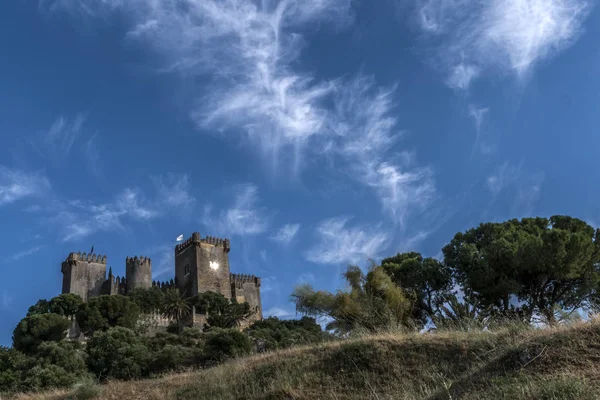 城のアルモドバル それはイスラム教の起源の不屈の精神 それはローマの砦だった 現在の建物は間違いなくリオ スペインのアルモドバルのベルベル人の起源 — ストック写真