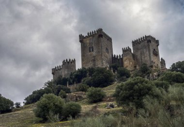 Kale Almodovar del Rio, Müslüman kökenli bir metanet olduğunu, bu bir Roman fort ve serisi oyun tahtlar, almak için Almodovar del Rio, İspanya geçerli yapı kesinlikle kaynağı Berber, Amerikalı yapımcı Hbo, bir sahne vardır